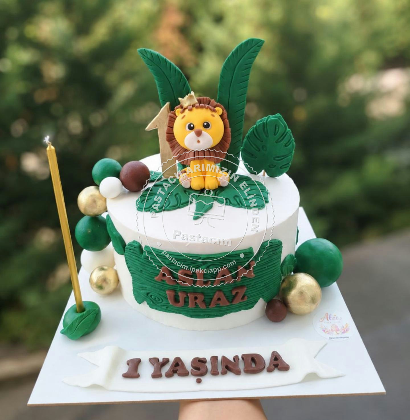 Jungle Erkek Bebek Pastası — jungle pasta, aslan pastası